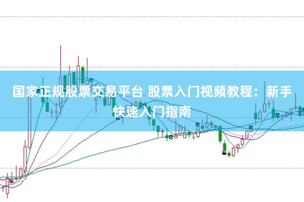 国家正规股票交易平台 股票入门视频教程：新手快速入门指南
