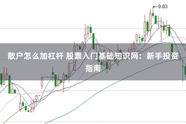 散户怎么加杠杆 股票入门基础知识网：新手投资指南