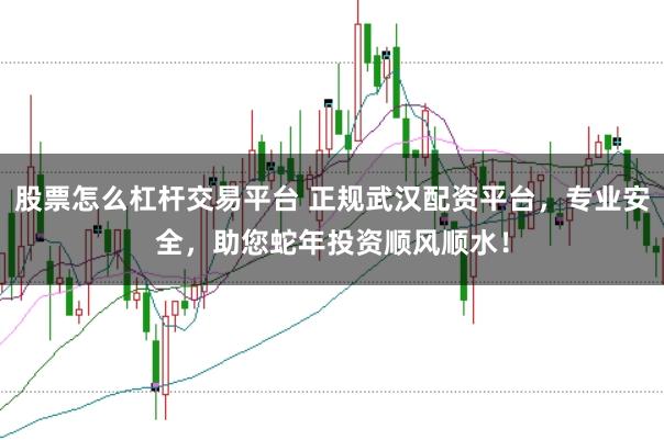 股票怎么杠杆交易平台 正规武汉配资平台，专业安全，助您蛇年投资顺风顺水！
