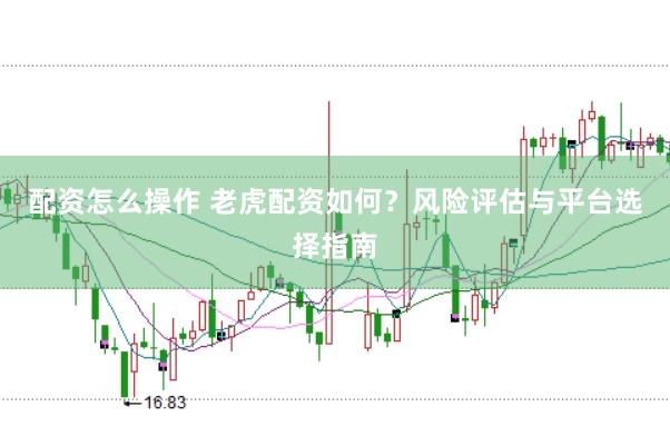 配资怎么操作 老虎配资如何？风险评估与平台选择指南