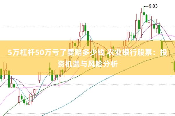 5万杠杆50万亏了要赔多少钱 农业银行股票：投资机遇与风险分析