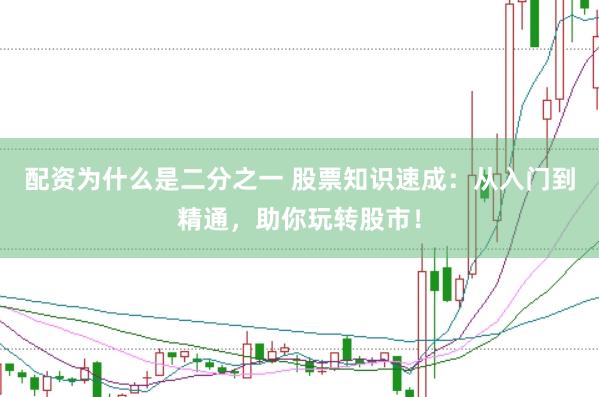 配资为什么是二分之一 股票知识速成：从入门到精通，助你玩转股市！