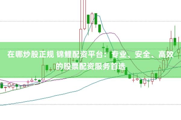 在哪炒股正规 锦鲤配资平台：专业、安全、高效的股票配资服务首选