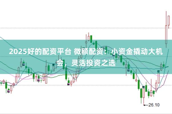 2025好的配资平台 微额配资：小资金撬动大机会，灵活投资之选
