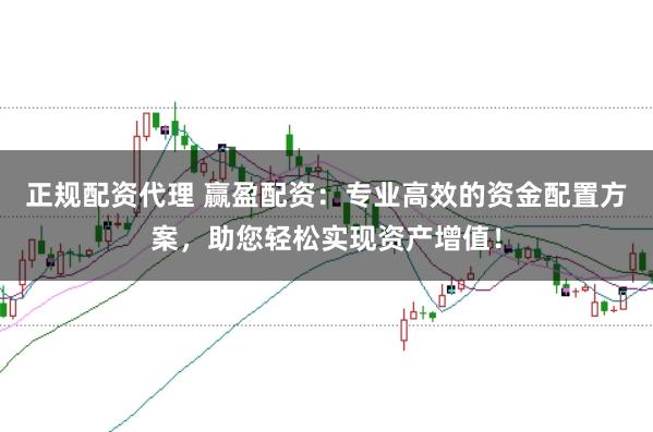 正规配资代理 赢盈配资：专业高效的资金配置方案，助您轻松实现资产增值！
