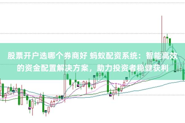 股票开户选哪个券商好 蚂蚁配资系统：智能高效的资金配置解决方案，助力投资者稳健获利