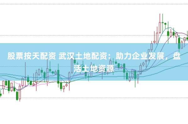 股票按天配资 武汉土地配资：助力企业发展，盘活土地资源