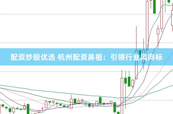 配资炒股优选 杭州配资鼻祖：引领行业风向标