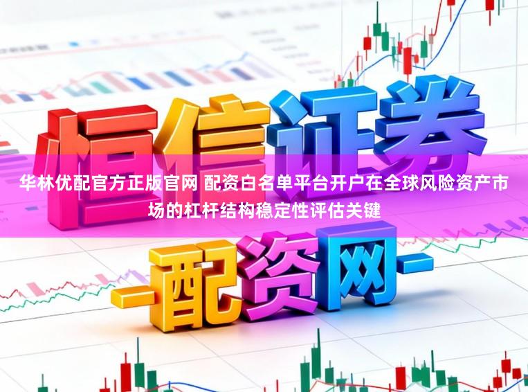 华林优配官方正版官网 配资白名单平台开户在全球风险资产市场的杠杆结构稳定性评估关键