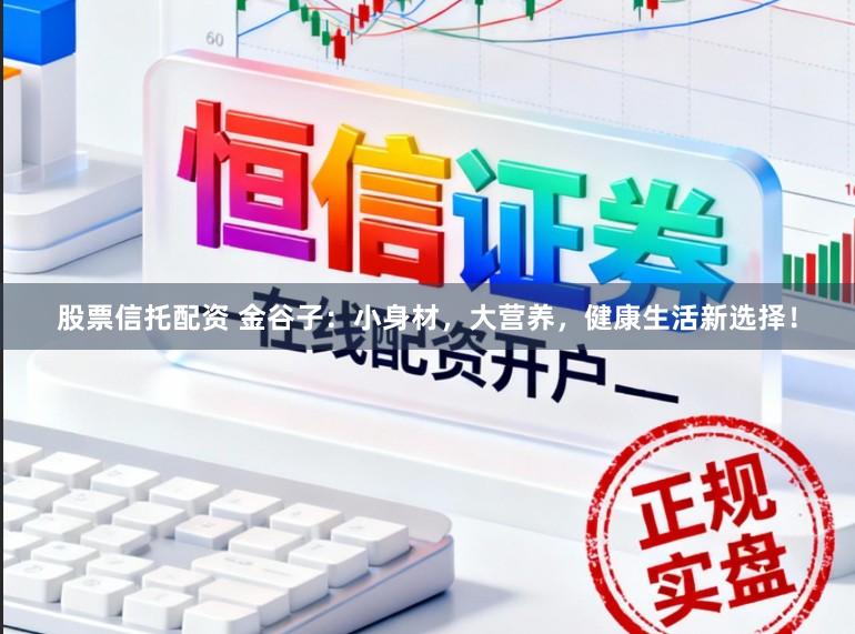 股票信托配资 金谷子:小身材,大营养,健康生活新选择!